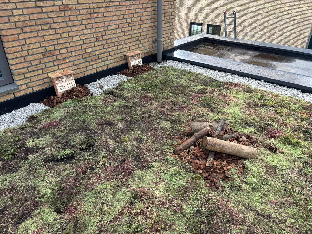 Groen dak met sedum beplanting en insectenhotel