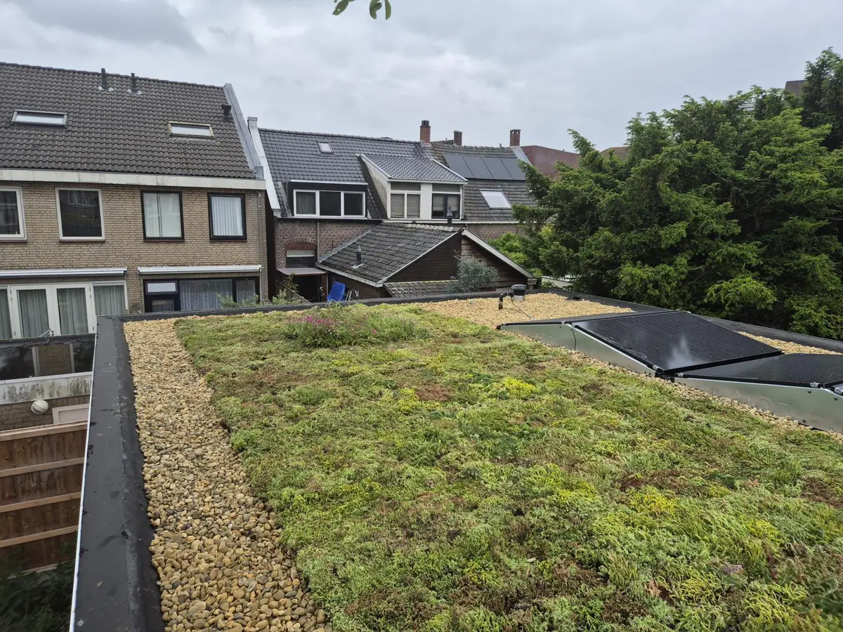 Groene Daken - Royaal Daktechniek specialist bitumen platte daken