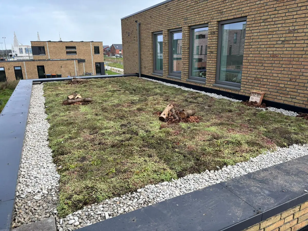 Sedum groen dak op nieuwbouw woning