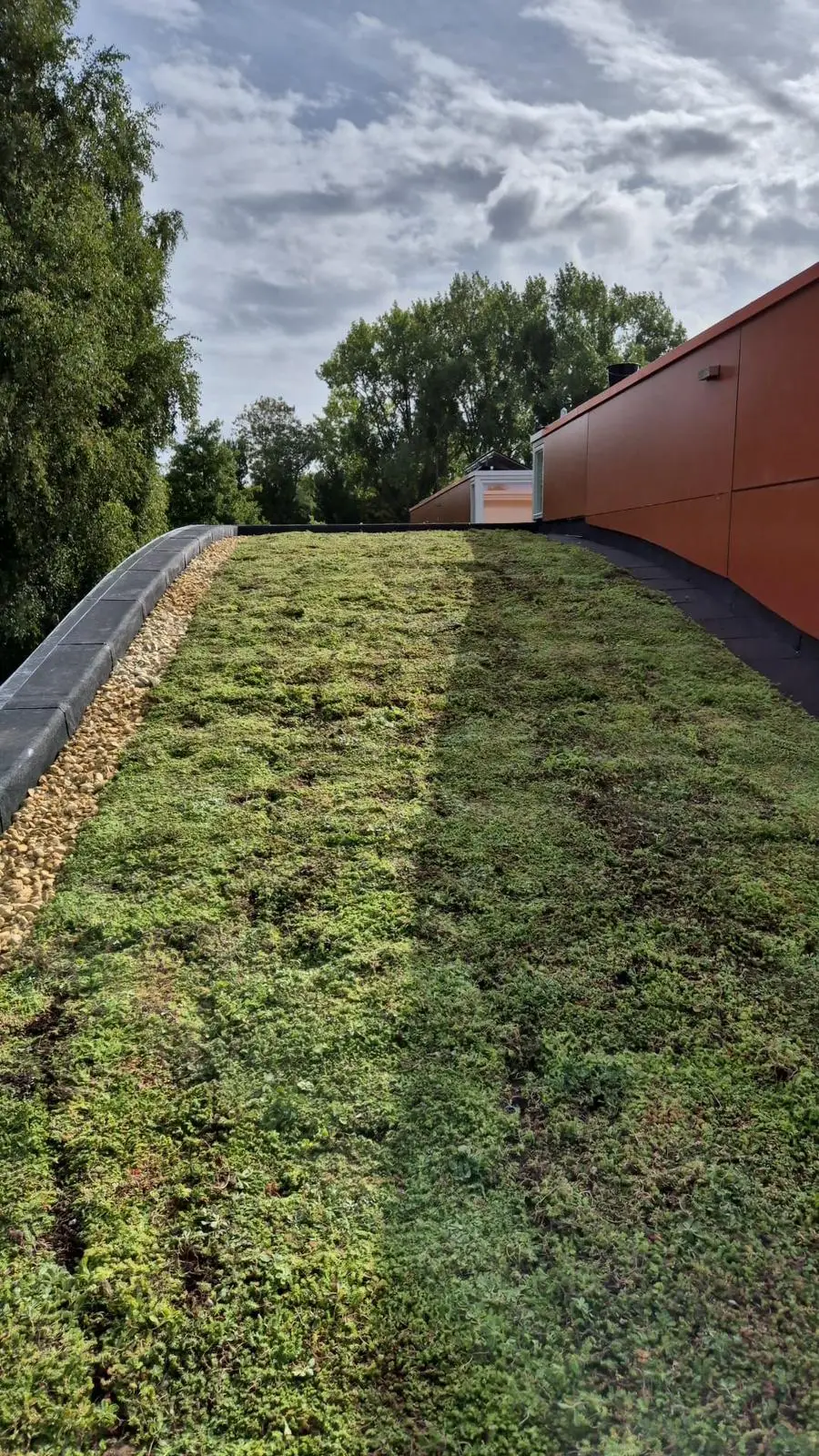 Lang groen dak met sedum beplanting